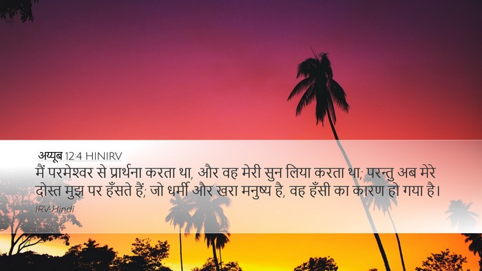 अय्यूब 12:4 HINIRV Bible Verse Image