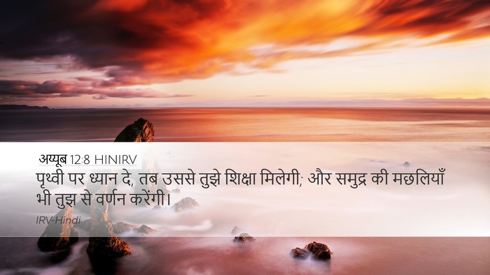 अय्यूब 12:8 HINIRV Bible Verse Image
