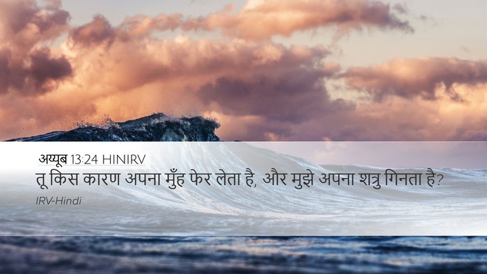 अय्यूब 13:24 HINIRV Bible Verse Image