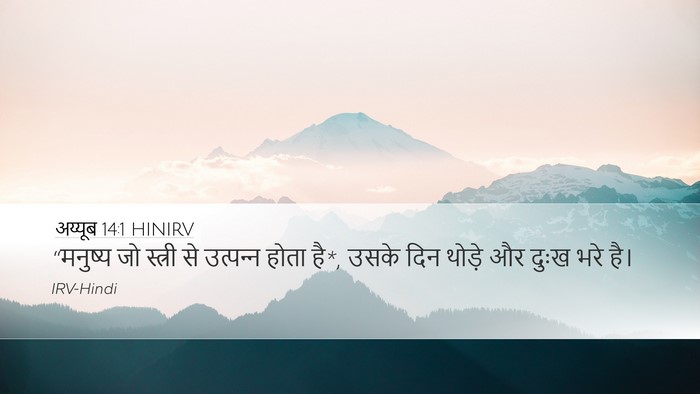 अय्यूब 14:1 HINIRV Bible Verse Image