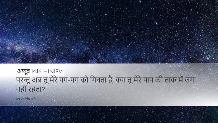अय्यूब 14:16 HINIRV Bible Verse Image
