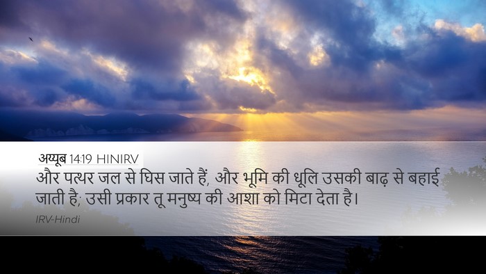 अय्यूब 14:19 HINIRV Bible Verse Image