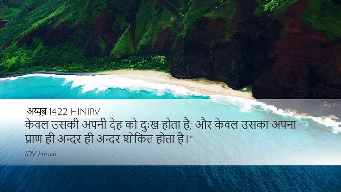 अय्यूब 14:22 HINIRV Bible Verse Image