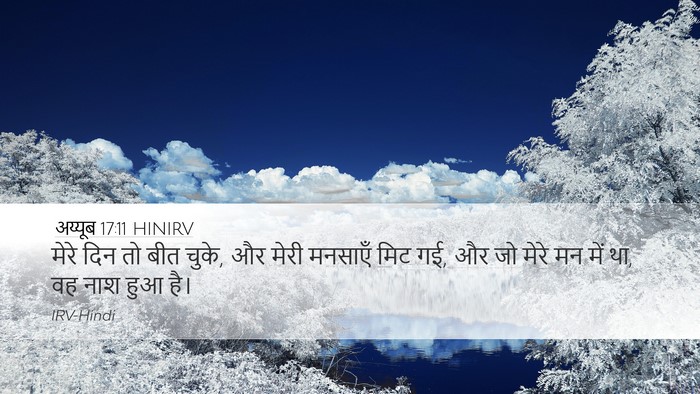अय्यूब 17:11 HINIRV Bible Verse Image