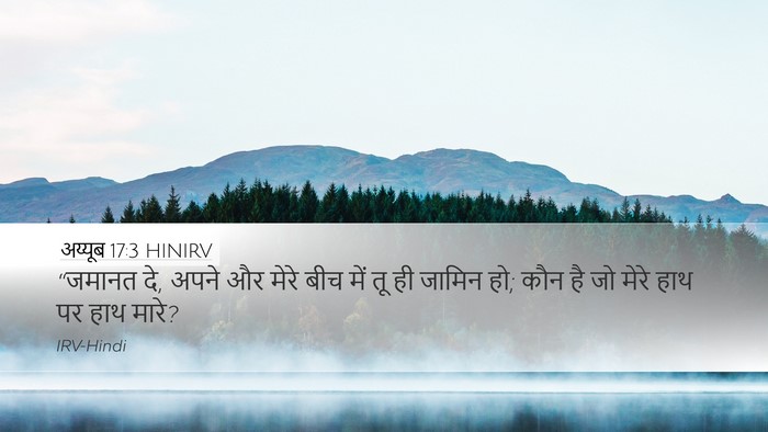 अय्यूब 17:3 HINIRV Bible Verse Image