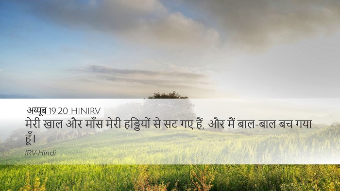 अय्यूब 19:20 HINIRV Bible Verse Image