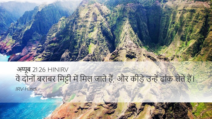 अय्यूब 21:26 HINIRV Desktop Wallpaper - वे दोनों बराबर - Desktop Bible Verse Wallpaper