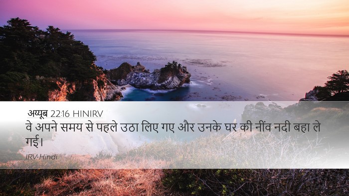 अय्यूब 22:16 HINIRV Bible Verse Image