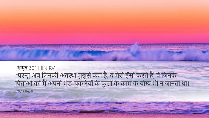 अय्यूब 30:1 HINIRV Bible Verse Image
