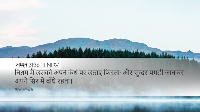 अय्यूब 31:36 HINIRV Desktop Wallpaper - निश्चय मैं उसको - Desktop Bible Verse Wallpaper