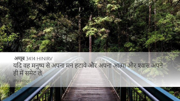 अय्यूब 34:14 HINIRV Bible Verse Image