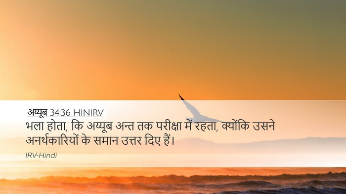 अय्यूब 34:36 HINIRV Bible Verse Image