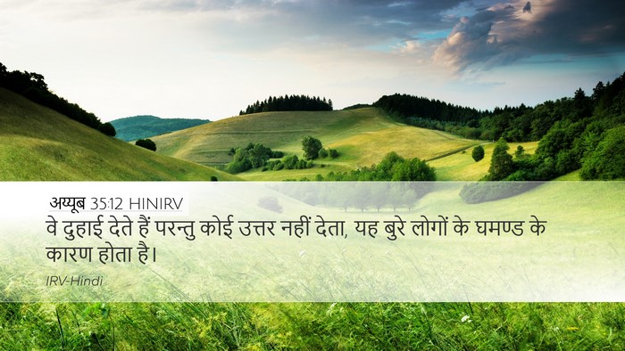 अय्यूब 35:12 HINIRV Bible Verse Image
