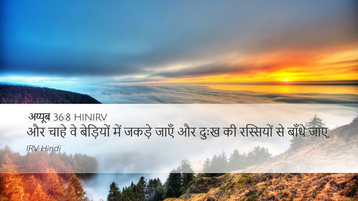 अय्यूब 36:8 HINIRV Bible Verse Image