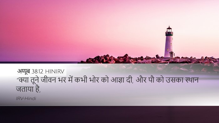 अय्यूब 38:12 HINIRV Bible Verse Image