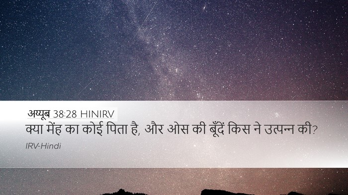 अय्यूब 38:28 HINIRV Desktop Wallpaper - क्या मेंह का कोई - Desktop Bible Verse Wallpaper