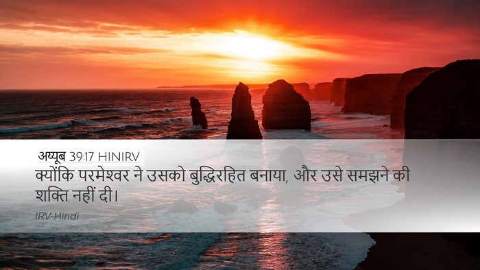 अय्यूब 39:17 HINIRV Bible Verse Image