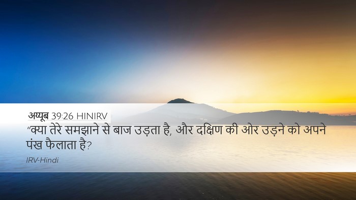 अय्यूब 39:26 HINIRV Bible Verse Image