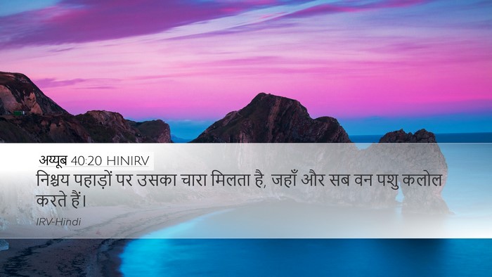 अय्यूब 40:20 HINIRV Bible Verse Image