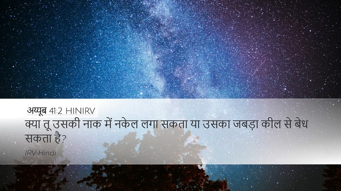 अय्यूब 41:2 HINIRV Bible Verse Image