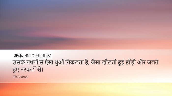 अय्यूब 41:20 HINIRV Bible Verse Image