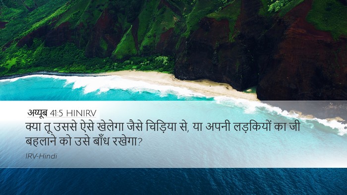 अय्यूब 41:5 HINIRV Bible Verse Image