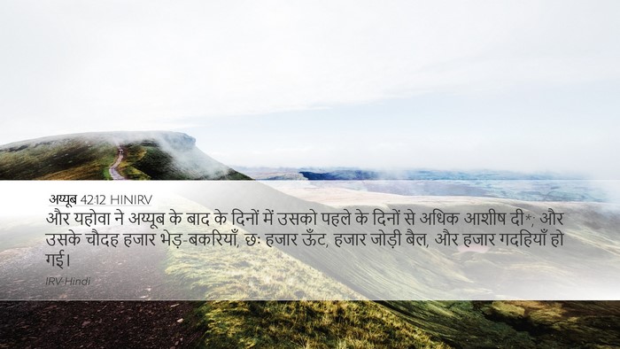 अय्यूब 42:12 HINIRV Bible Verse Image