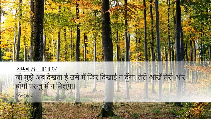 अय्यूब 7:8 HINIRV Bible Verse Image