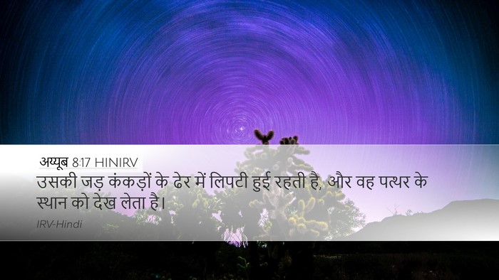 अय्यूब 8:17 HINIRV Desktop Wallpaper - उसकी जड़ कंकड़ों - Desktop Bible Verse Wallpaper