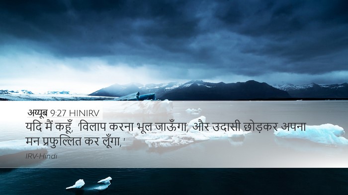 अय्यूब 9:27 HINIRV Bible Verse Image