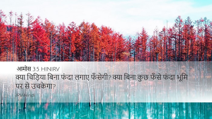 आमोस 3:5 HINIRV Bible Verse Image