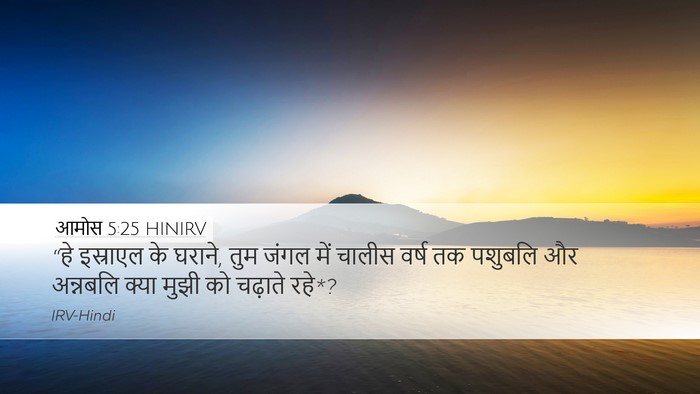 आमोस 5:25 HINIRV Bible Verse Image