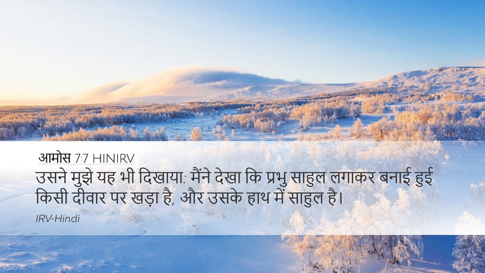आमोस 7:7 HINIRV Bible Verse Image