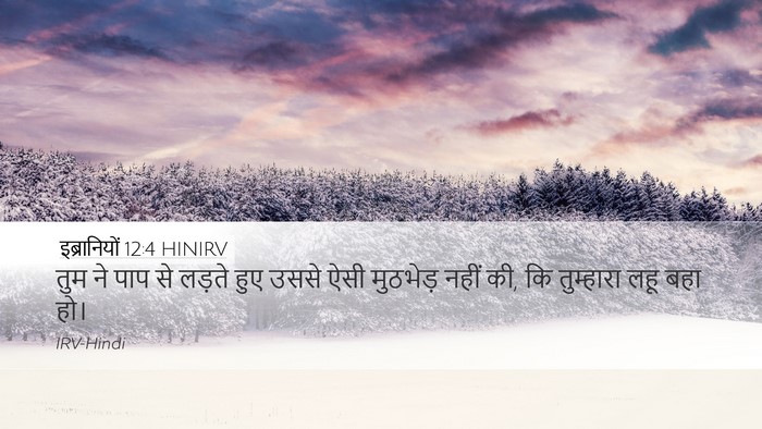 इब्रानियों 12:4 HINIRV Bible Verse Image