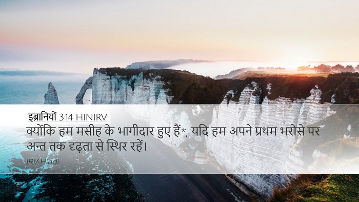 इब्रानियों 3:14 HINIRV Bible Verse Image