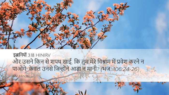 इब्रानियों 3:18 HINIRV Bible Verse Image