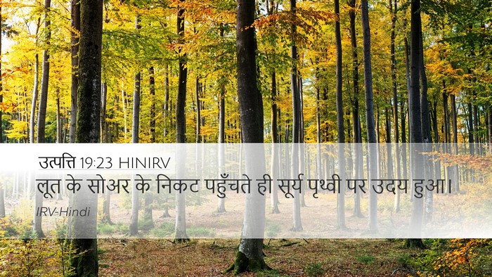 उत्पत्ति 19:23 HINIRV Desktop Wallpaper - लूत के सोअर के निकट - Desktop Bible Verse Wallpaper