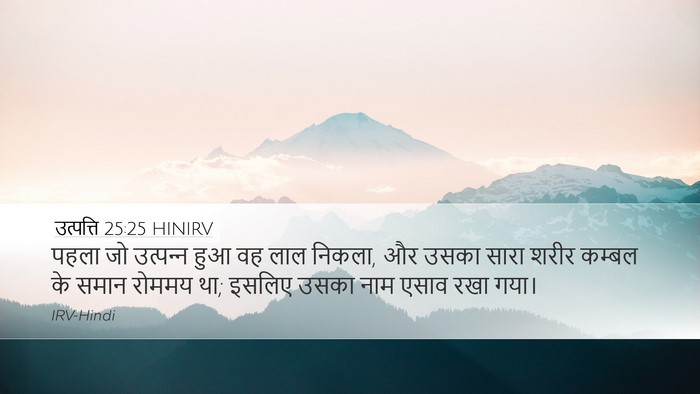 उत्पत्ति 25:25 HINIRV Desktop Wallpaper - पहला जो उत्‍पन्‍न - Desktop Bible Verse Wallpaper