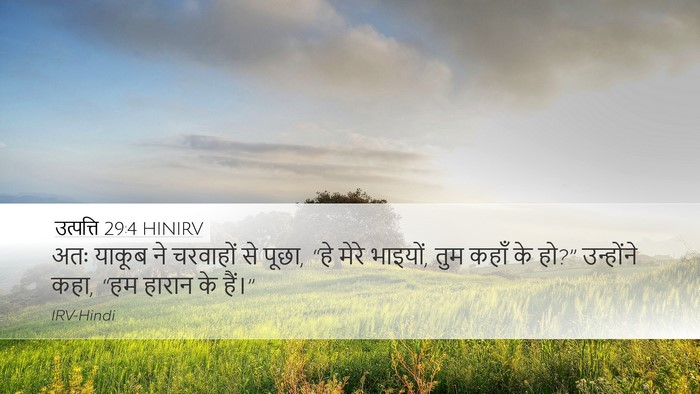 उत्पत्ति 29:4 HINIRV Bible Verse Image