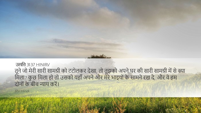 उत्पत्ति 31:37 HINIRV Bible Verse Image