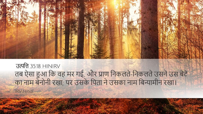 उत्पत्ति 35:18 HINIRV Bible Verse Image