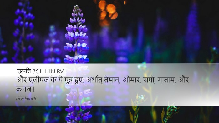 उत्पत्ति 36:11 HINIRV Bible Verse Image
