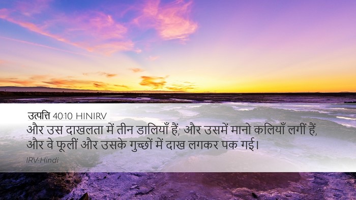 उत्पत्ति 40:10 HINIRV Bible Verse Image