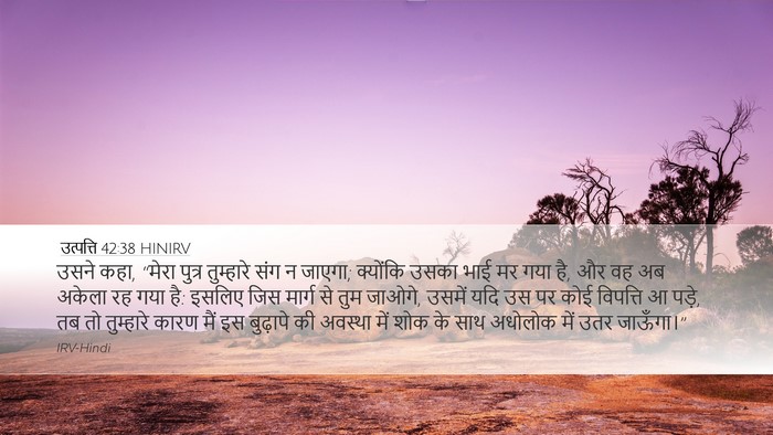 उत्पत्ति 42:38 HINIRV Bible Verse Image