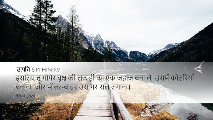 उत्पत्ति 6:14 HINIRV Bible Verse Image