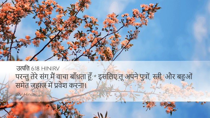 उत्पत्ति 6:18 HINIRV Bible Verse Image