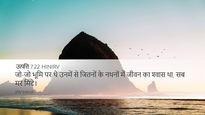 उत्पत्ति 7:22 HINIRV Desktop Wallpaper - जो-जो भूमि पर थे - Desktop Bible Verse Wallpaper