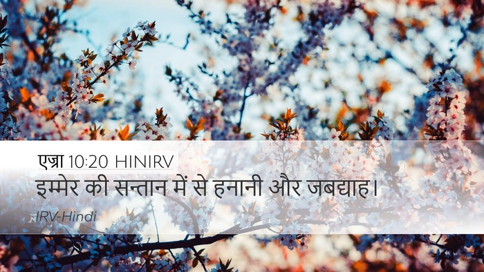 एज्रा 10:20 HINIRV Bible Verse Image