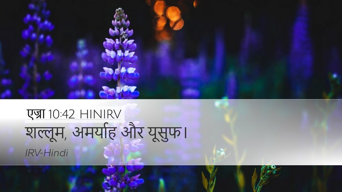 एज्रा 10:42 HINIRV Desktop Wallpaper - शल्लूम, अमर्याह और - Desktop Bible Verse Wallpaper