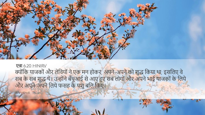 एज्रा 6:20 HINIRV Bible Verse Image